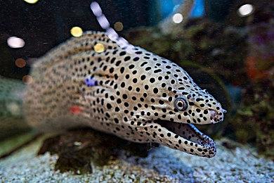 农场模拟游戏新作《风和日暖》登陆Steam平台